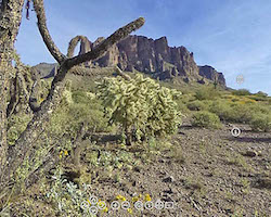 Desert virtual tour