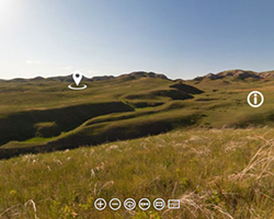 Grassland view of rolling hills covered in grasses.