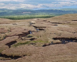 Peat bogs