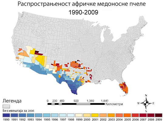 Map showing the spread of Africanized honey bees in the United States.