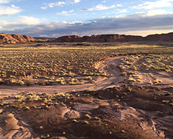 Landscape image of petrified forest national park by Karla Moeller