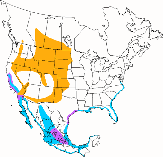 bird range map