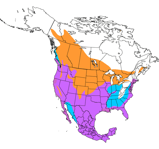 bird range map