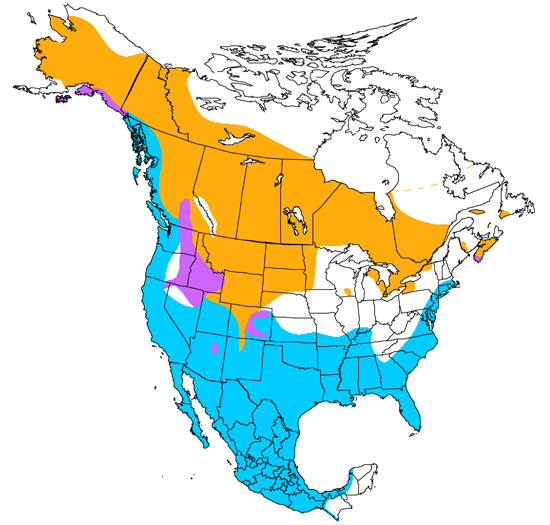 bird range map