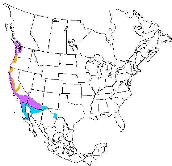 bird range map