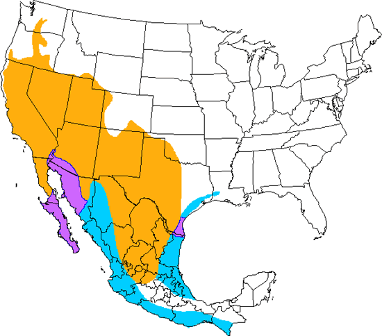 bird range map