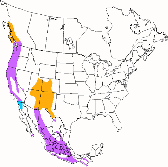 bird range map