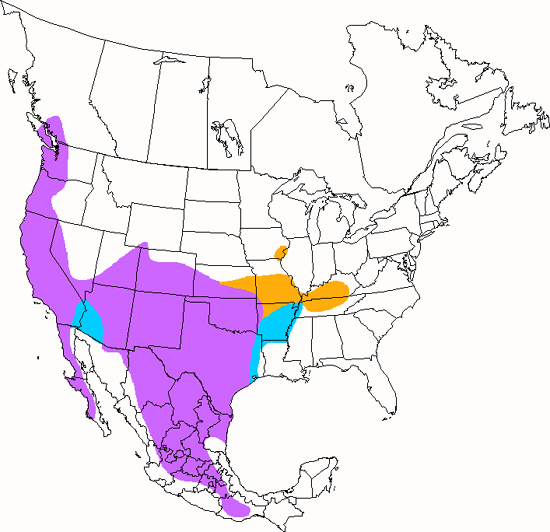 bird range map