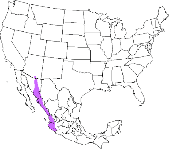 bird range map