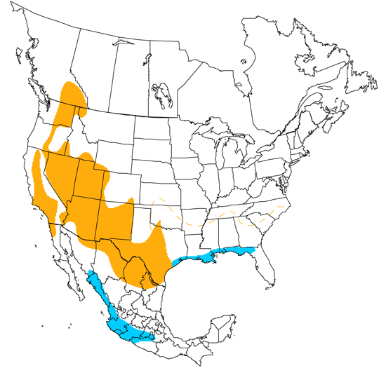 bird range map