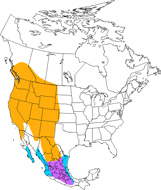 bird range map