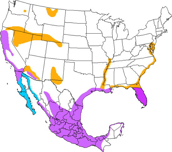 bird range map