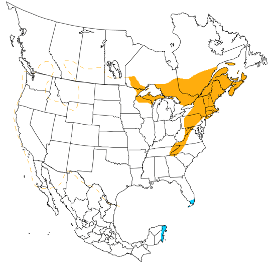 bird range map