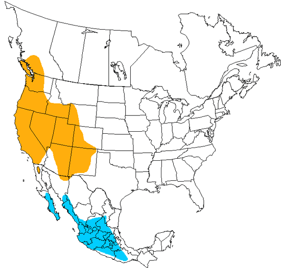 bird range map