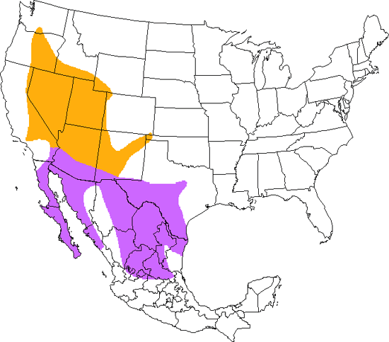 bird range map