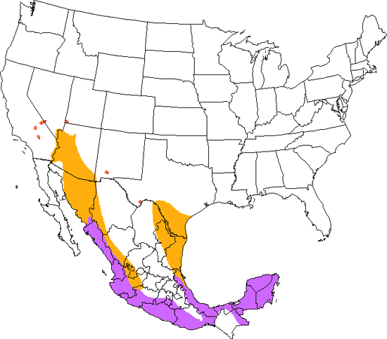 bird range map