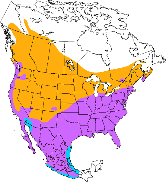 bird range map