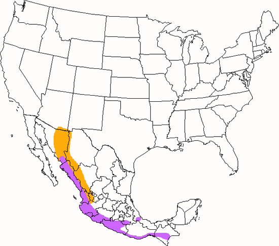 bird range map