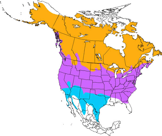 bird range map