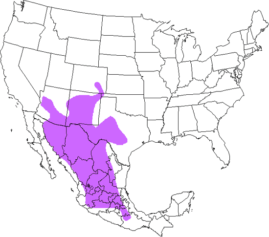 bird range map