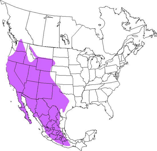 bird range map