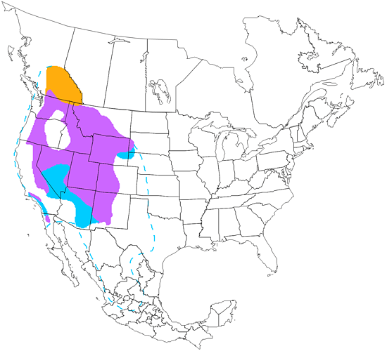 bird range map