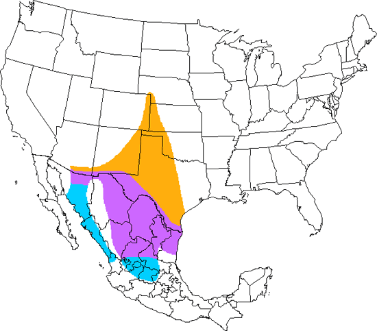 bird range map