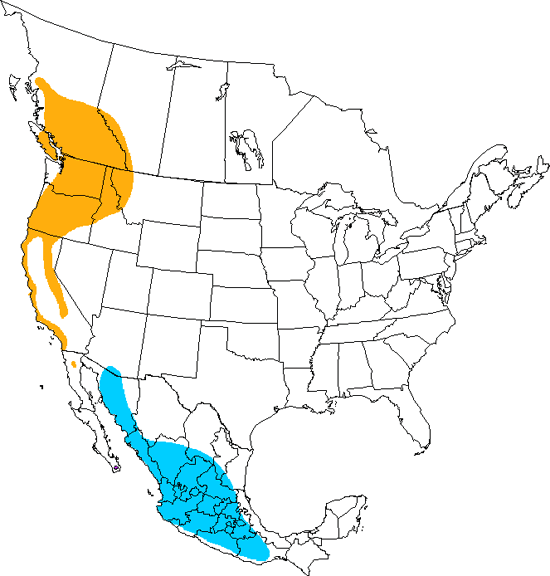 bird range map