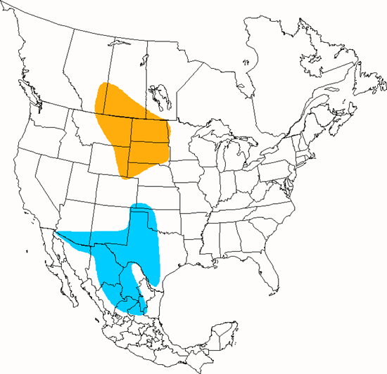 bird range map