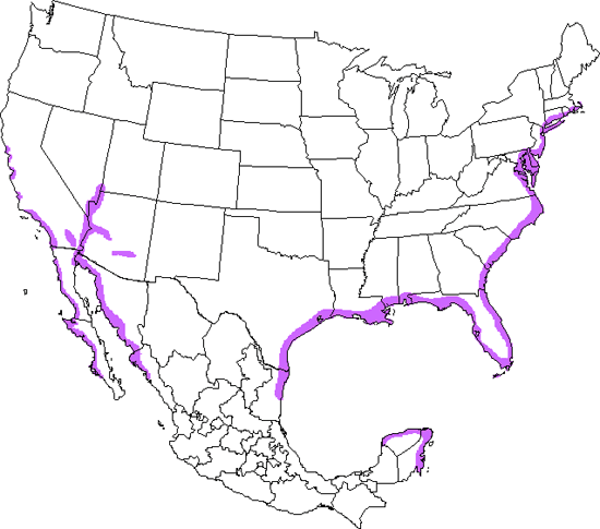 bird range map