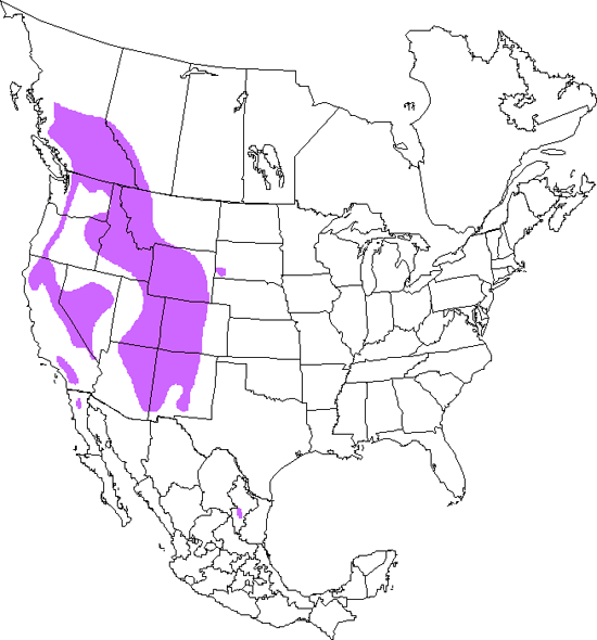 bird range map