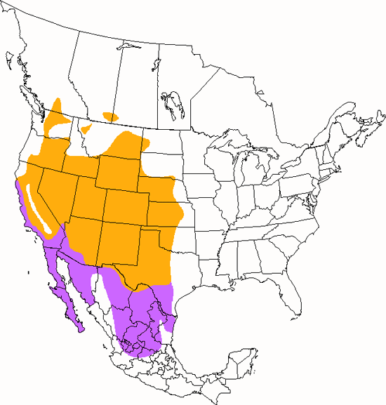 bird range map