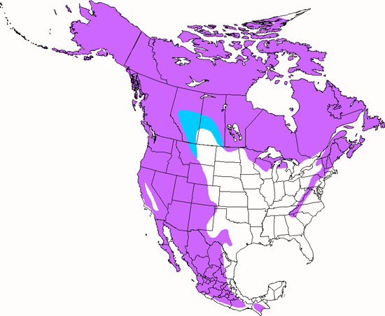 bird range map