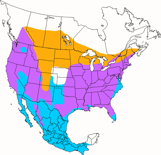 bird range map