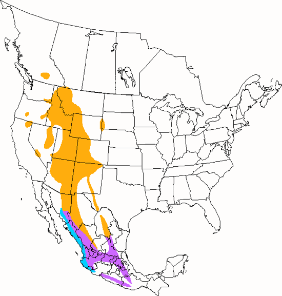 bird range map