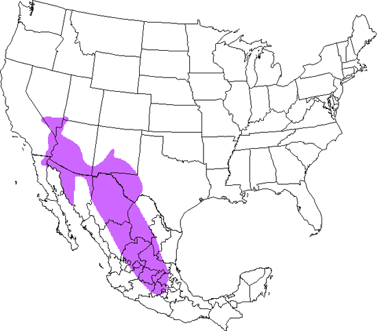 bird range map