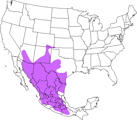 bird range map