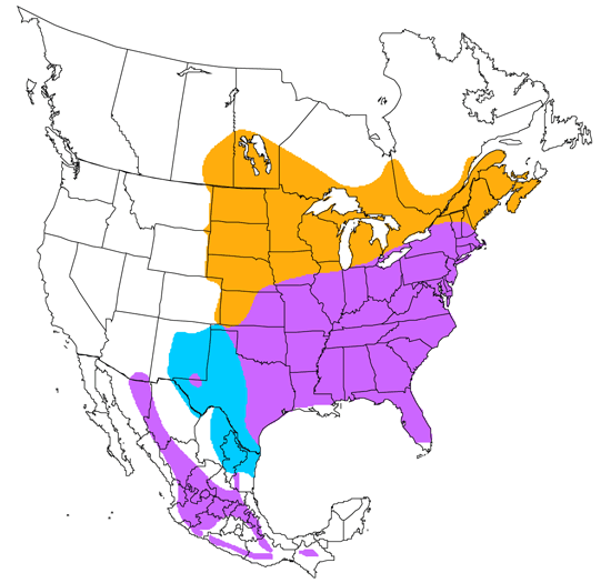 bird range map