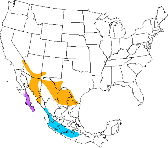 bird range map