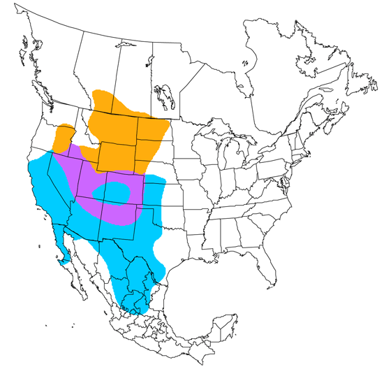 bird range map