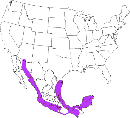 bird range map