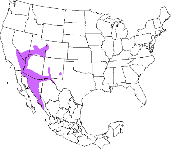 bird range map