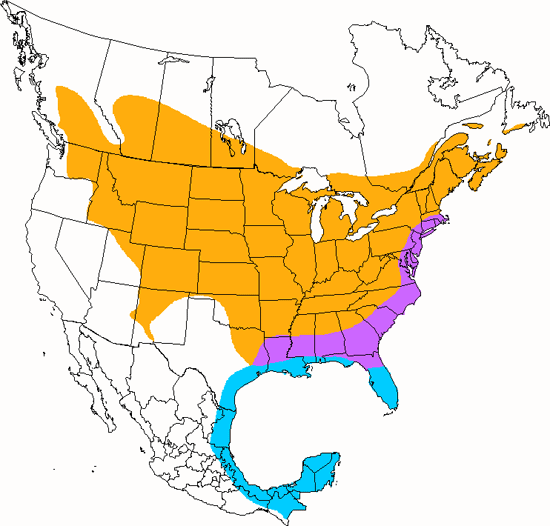 bird range map