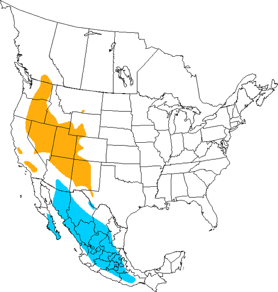 bird range map