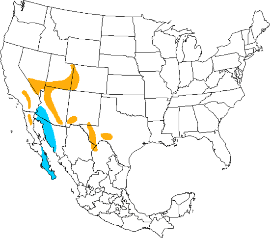 bird range map