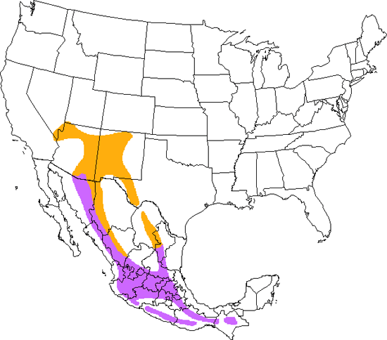 bird range map