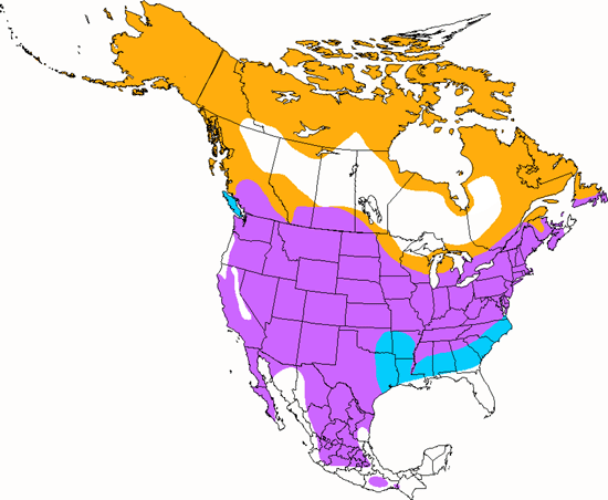 bird range map