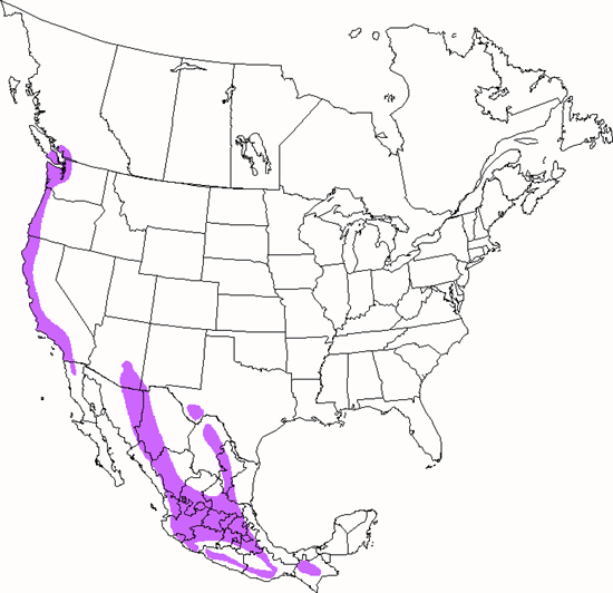 bird range map