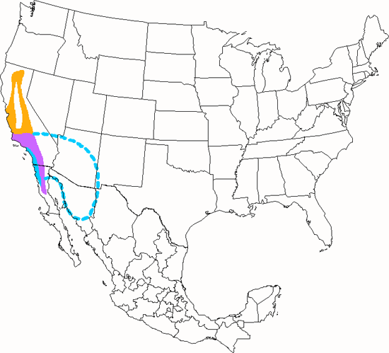 bird range map