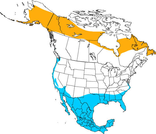 bird range map